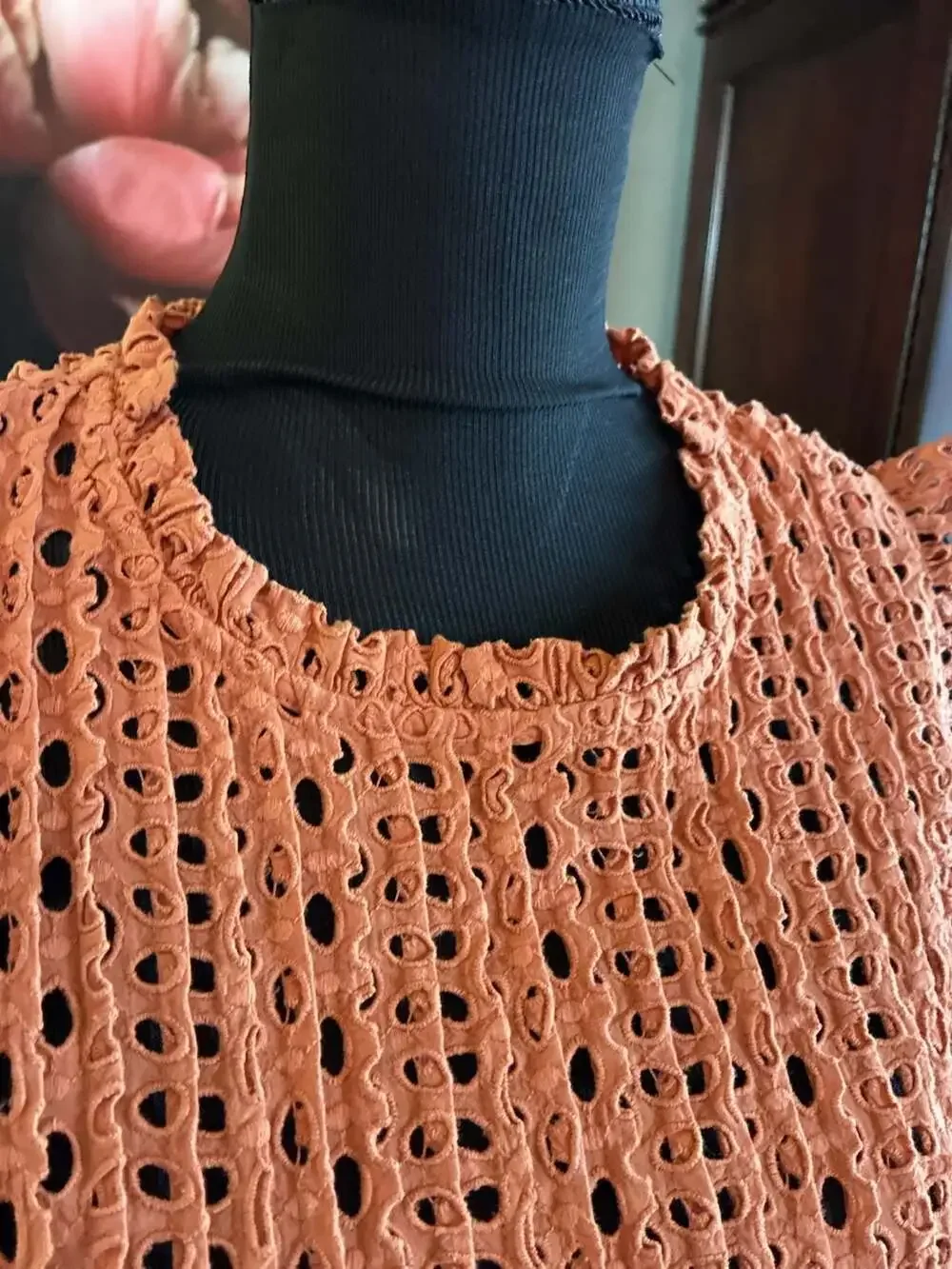 Madewell Eyelet Ruffle-Sleeve Pintuck Mini Dress in Mulled Cider Sz M A679
